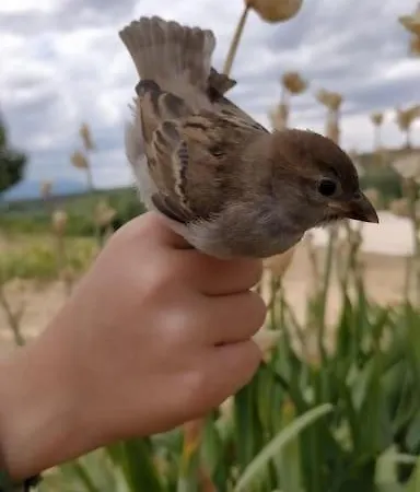 Feriehus El Telar Arte Y Naturaleza *