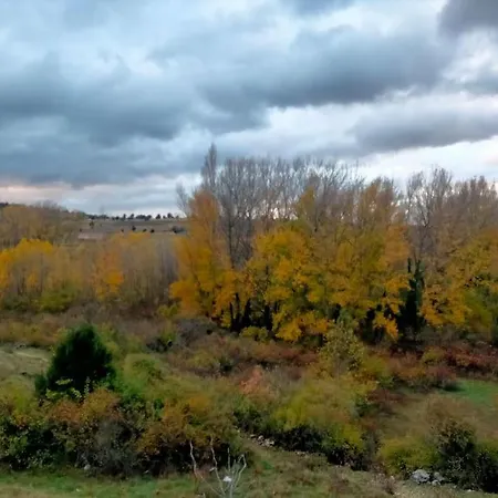 El Telar Arte Y Naturaleza