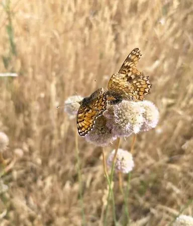 Casa vacanze El Telar Arte Y Naturaleza *
