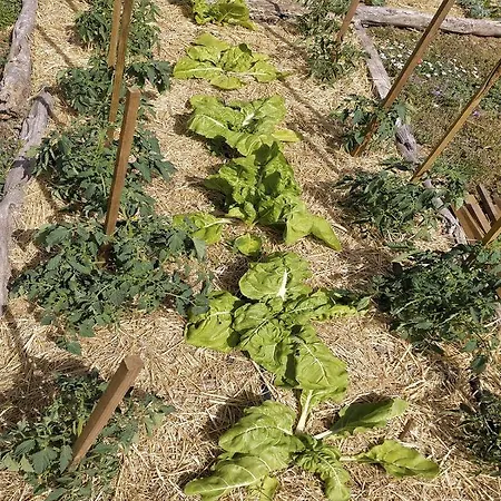 El Telar Arte Y Naturaleza Feriehus Prádena