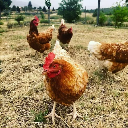 El Telar Arte Y Naturaleza *