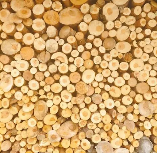 El Telar Arte Y Naturaleza * Prádena