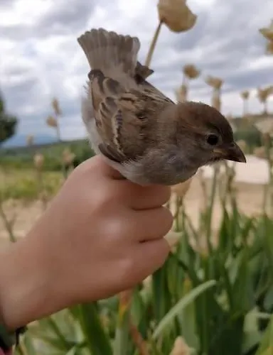 Vakantiehuis El Telar Arte Y Naturaleza *