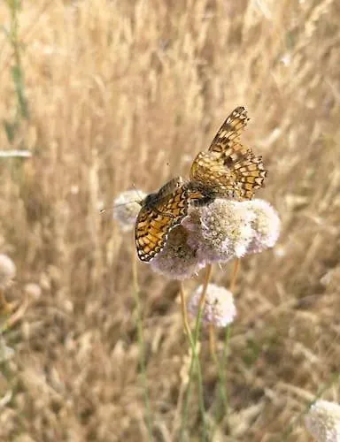 Vakantiehuis El Telar Arte Y Naturaleza *