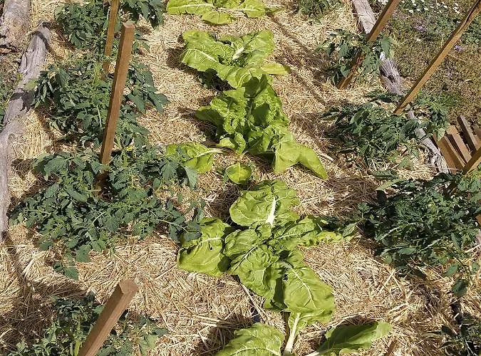 El Telar Arte Y Naturaleza Vakantiehuis Prádena