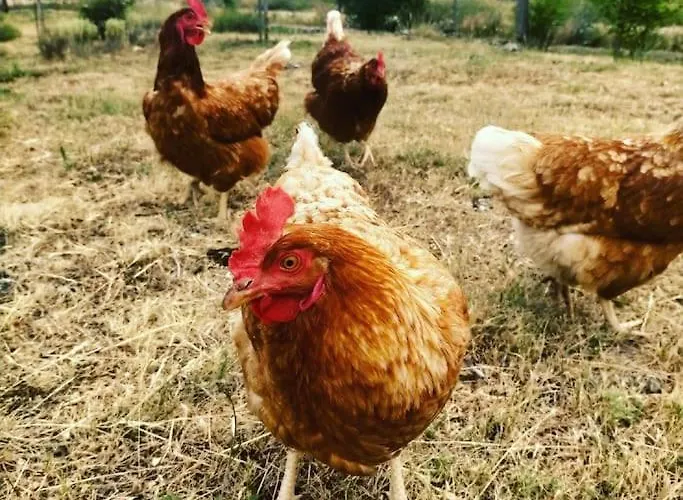 El Telar Arte Y Naturaleza *